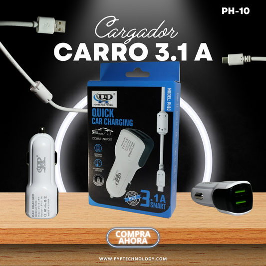 CARGADOR DE CARRO 3.1 PH-10 TIPO C/V8